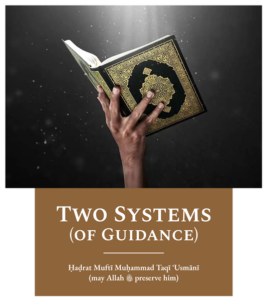 Two Systems (of Guidance)