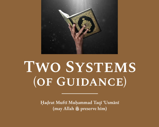 Two Systems (of Guidance)